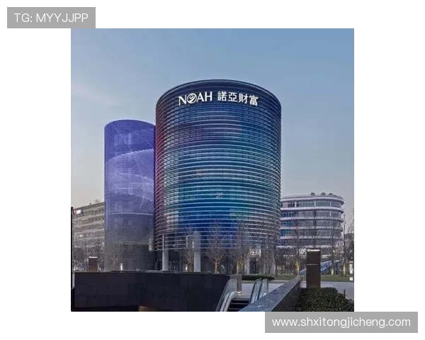 CFO与FNC对比分析：财务管理与金融控制在企业中的关键作用