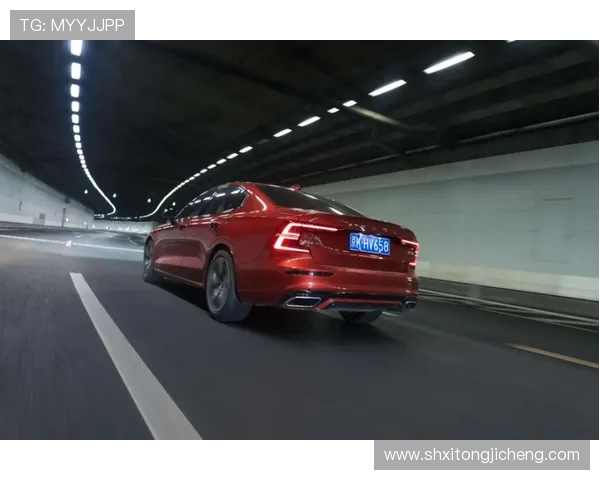 乒乓球运动的魅力与发展趋势探索：从技术创新到全球普及的多维度分析