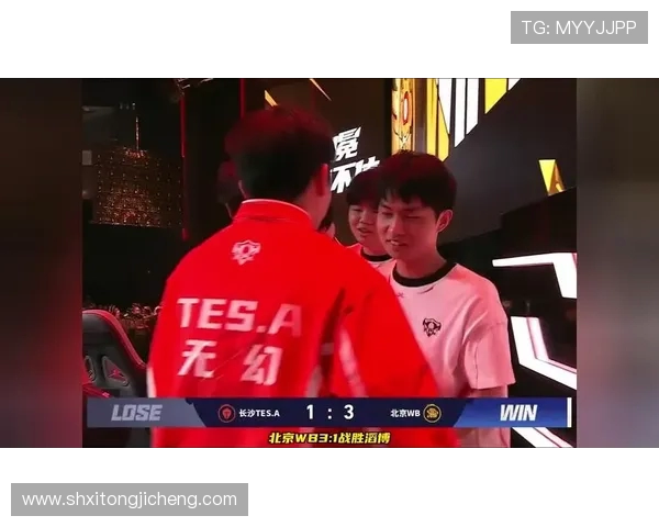 王者荣耀热议TES耐力争议引发玩家热烈讨论与反思